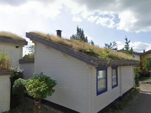 groene daken2