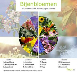 Fleur.nl doneert bijenzaad