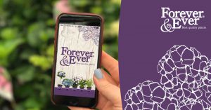Hortensia Forever&Ever® app