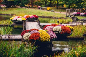 chrysantenfestival-in-japanse-tuin